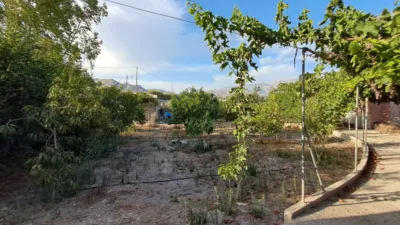 Rustic house in Berja photo 4
