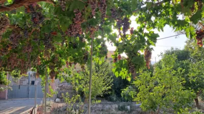 Rustic house in Berja photo 3