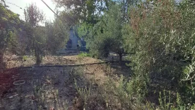 Rustic house in Berja photo 17