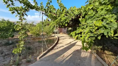 Rustic house in Berja photo 2