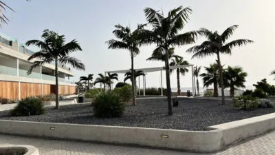 Apartment on Avenida Palm-mar photo 4