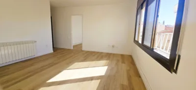 Apartment in Can Palet photo 15