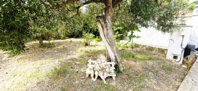 House in Esparreguera photo 10