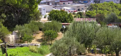 House in Esparreguera photo 22