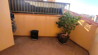 Duplex in Sant Pere Nord photo 2