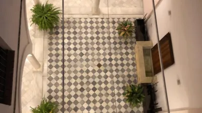 Duplex in Plaza de la Alameda de Hércules photo 4