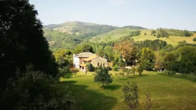 House on Calle Bo Iruz photo 42