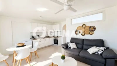 Apartment on Avenida Palm-mar, no. sn photo 5