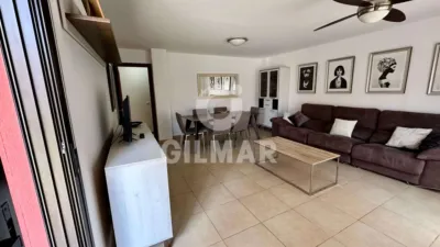 Apartment on Calle Jilguero, 9 photo 13