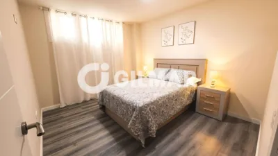 Apartment on Calle Rodeo photo 17