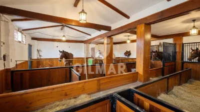 Rustic property on Camino El Matadero, 1 photo 6