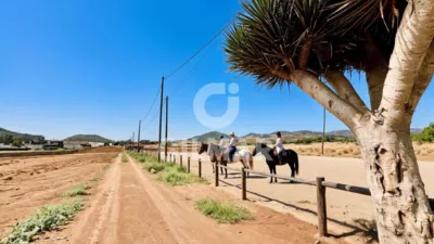 Rustic property on Camino El Matadero, 1 photo 11