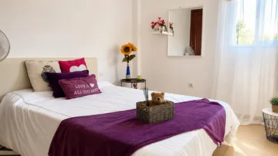 Flat on Daute Street photo 31
