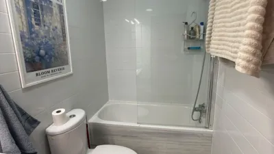Attic flat on Calle de Murillo photo 9