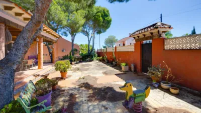 Casa – San Miguel de Salinas, Urbanización Ciudad de las Telecomunicaciones - Vista 3