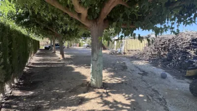 Casa – Biar, l'Alt Vinalopó / El Alto Vinalopó - Vista 3