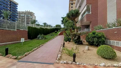 Piso en calle Gregal photo 17
