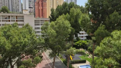 Apartment in Benidorm - Vista 3