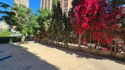 Studio in Calle Mirador photo 35