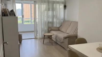 Apartment on Avenida Municipio photo 3