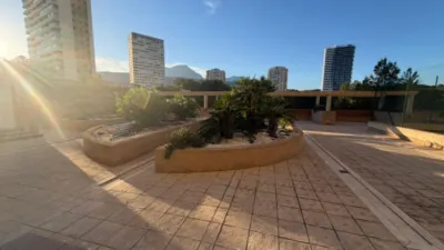Apartment on President Adolfo Suarez Street photo 39