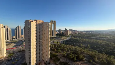 Apartment on President Adolfo Suarez Street photo 6