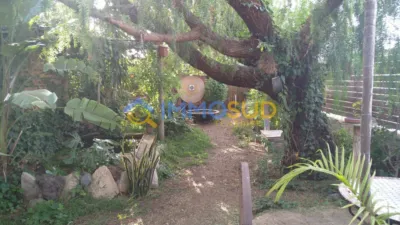 House on Calle del Mantillo photo 2