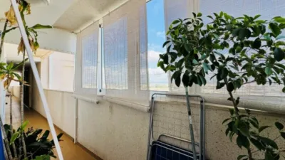 Apartment on Calle Joven Pura, 77 photo 5