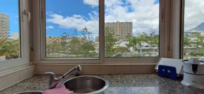 Apartment at Avenida Juan Carlos I, 31 photo 6