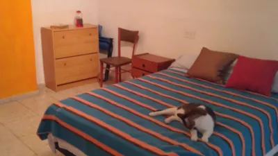 House on Santo Cristo Street photo 28