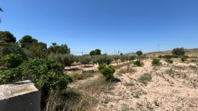 Casa – Alacant / Alicante, Urbanització Vallgran Oest, Finca de Don Jaume - Vista 5