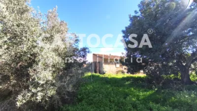 Rustic chalet on Calle Mayor photo 33