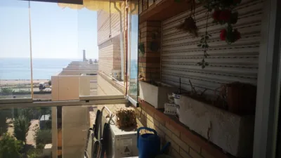 Piso en Avinguda de la Mediterrània photo 11