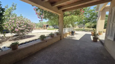 Semi-detached chalet in Polígono Diseminados 8432, no. 2 photo 42