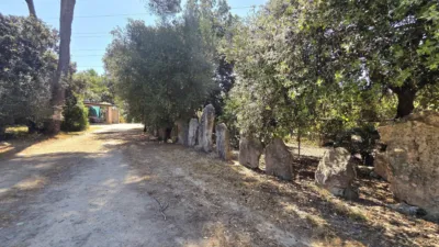 Detached house on Calle Diseminados Son Fabrer, No. 403 photo 42
