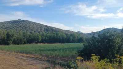 House in Las Huertas photo 38