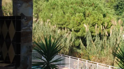 Detached house in Cabrils photo 39