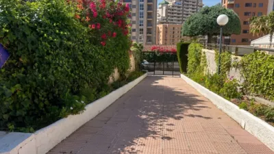 Apartment in Urbanización Caleta, 28 photo 24
