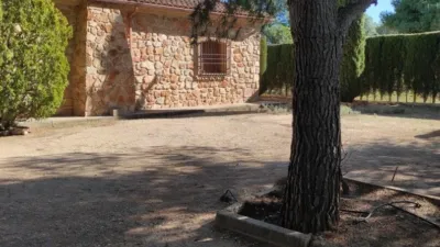 Miniatura 7