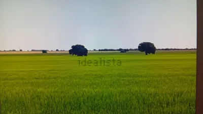 Terreno en venta en Calle Villarrobledo - Vista 2