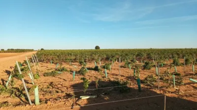 Terreno en venta en Calle de la Minaya - Vista 2