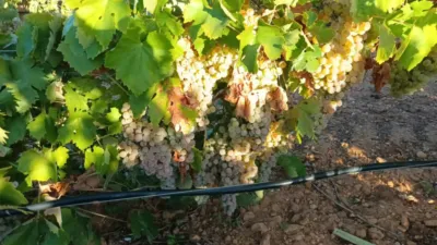 Terreno en venta en Calle de la Minaya - Vista 3