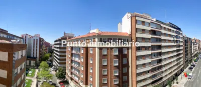 Apartment on Muro Street photo 14