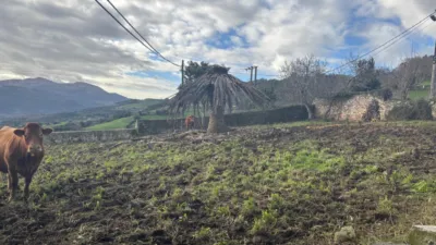 Casa en venta en Barrio de los Nates, 3 - Vista 5
