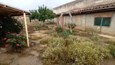 House on Calle Ancha photo 14