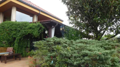 House on Torrillo Street photo 40