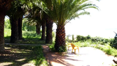 Semi-detached chalet on Avenida de la Reina Victoria photo 37