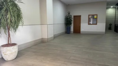 Apartment in San José-Varela-La Laguna photo 32