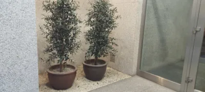 Apartamento en alquiler en Calle de Claudio Coello, 55, cerca de Calle de Ayala - Imagen 57