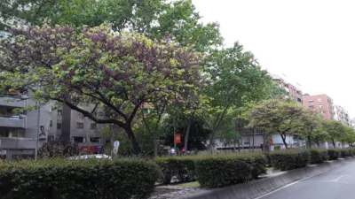 Apartamento en alquiler en Calle de la Infanta Mercedes - Imagen 35
